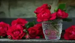 ما هو تفسير رؤية الورود في المنام لابن سيرين؟